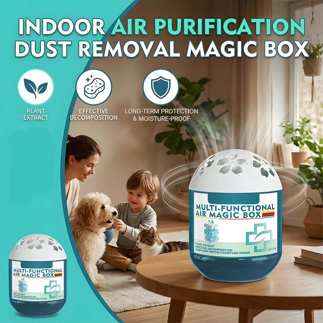 Limited-Time Offer Indoor Air Purification Dust Removal Magic Box